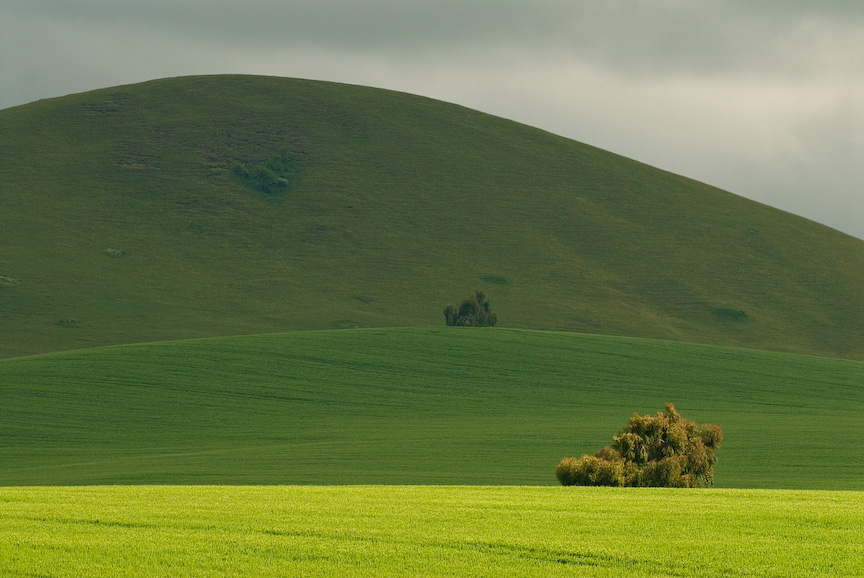 Today: Timau, Kenyia